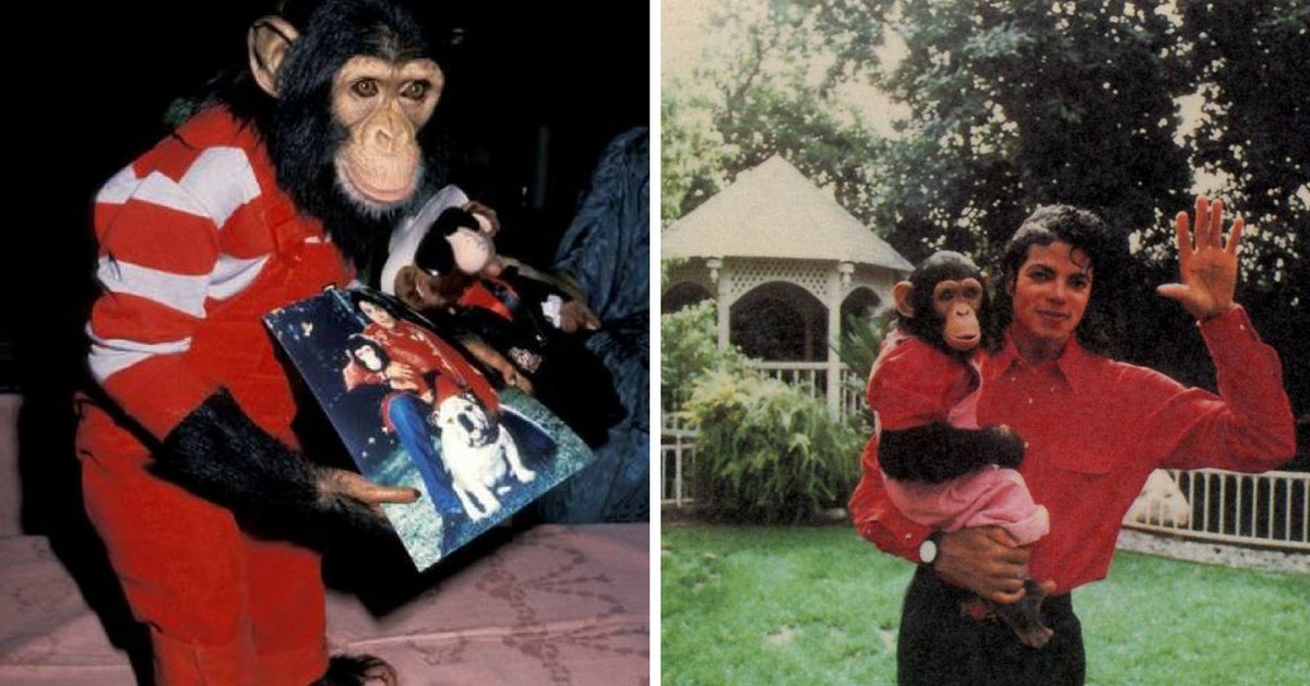 Saiba oito fatos curiosos sobre Michael Jackson Saiba oito fatos curiosos sobre Michael Jackson